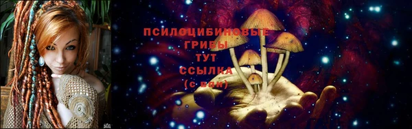 гидра Бугульма