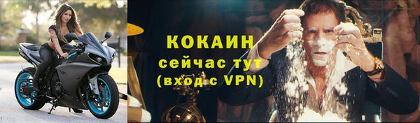 амф Бородино