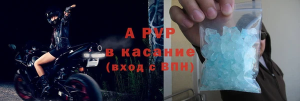 амф Бородино