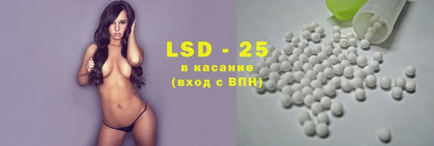 амф Бородино