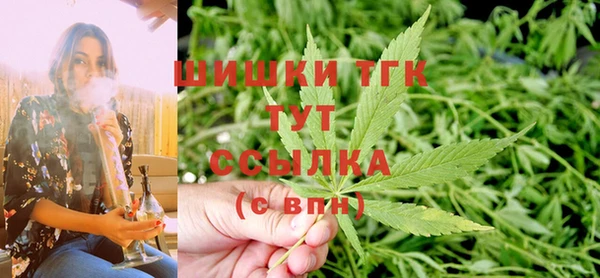 амф Бородино