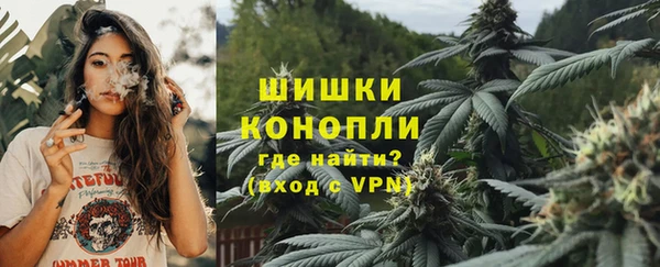 амф Бородино