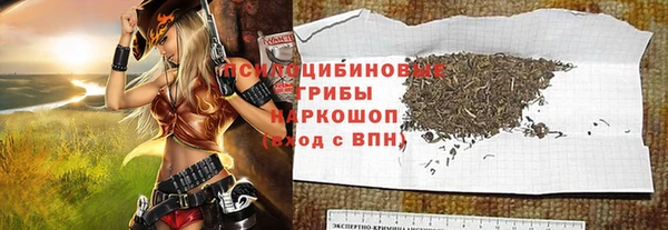амф Бородино