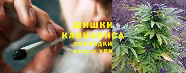 гидра Бугульма